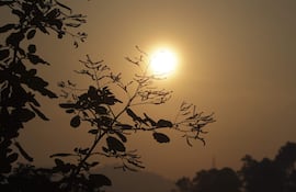 20260512-52a87fb99cfc99f710706ba3f8517959f6437c99-optimized.jpg