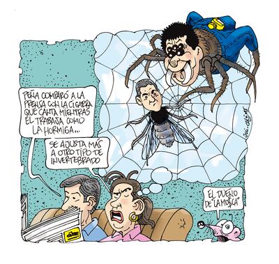 INSECTO