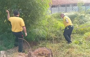 Dos hombres en camiseta amarilla y pantalones oscuros limpiando vegetación, uno de pie y otro agachado con machete.