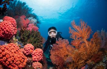 Raja Ampat, Indonesia.