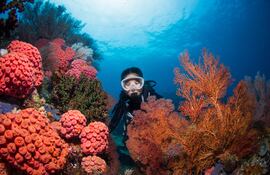 Raja Ampat, Indonesia.