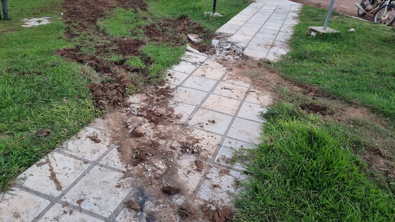 Área de césped con camino de baldosas parcialmente dañado, sin personas presentes y vegetación cuidada alrededor.