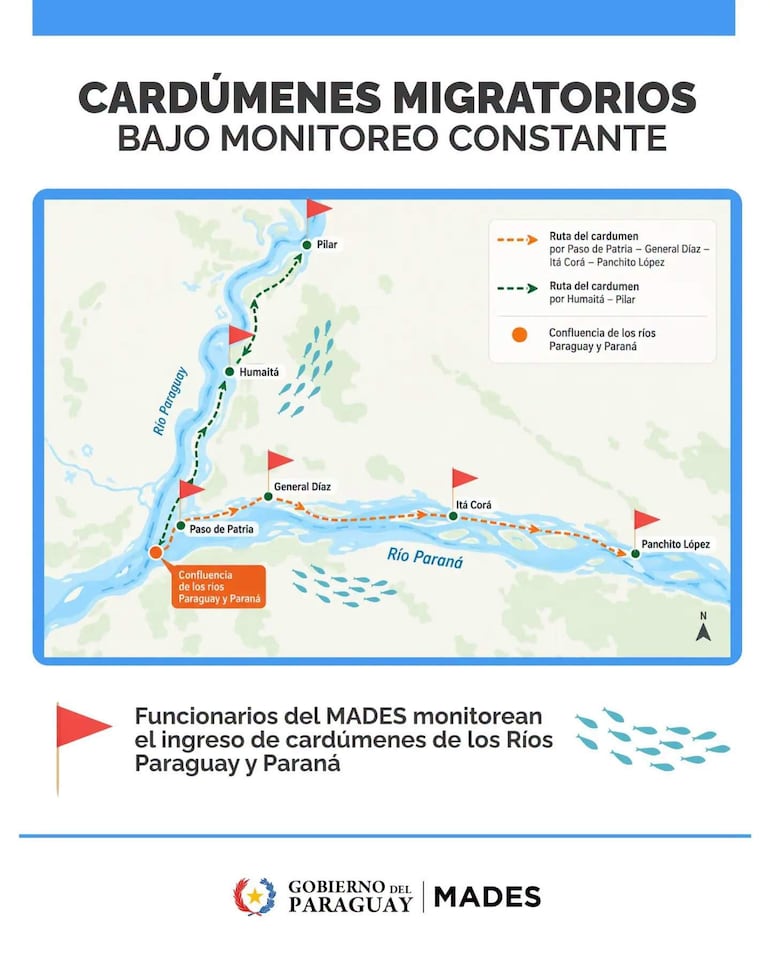 Mapa que muestra rutas migratorias de cardúmenes a través de banderas rojas y líneas punteadas en tonos naranjas y verdes.