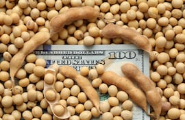 Cosecha y exportaciones récord, pero menos guaraníes en el bolsillo