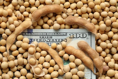 Cosecha y exportaciones récord, pero menos guaraníes en el bolsillo