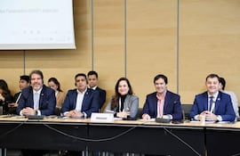 Los diputados Rodrigo Blanco, Hugo Meza, Rocío Abed, Rodrigo Gamarra y Néstor Castellano por Suiza.