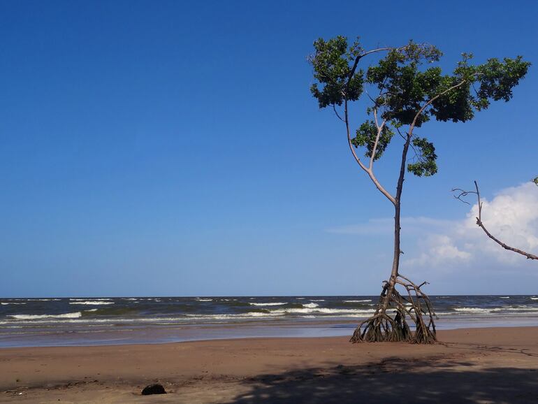 Isla de Marajó, Brasil.