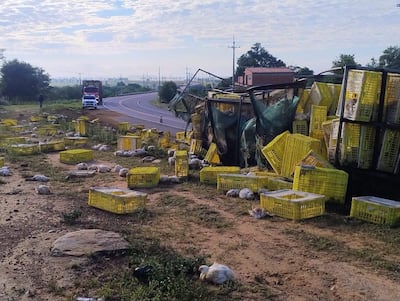 Cajas amarillas y pollos muertos en la carretera tras el accidente del tractocamión en la ruta PY03 cerca de Emboscada.