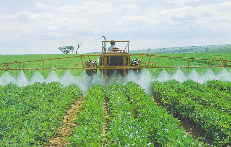 Temen productores locales las secuelas de la decisión