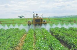 La decisión china de protegerse de las inestabilidades de la guerra impactará en cultivos locales.