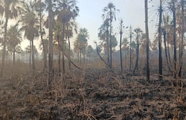 Incendio de gran magnitud afectó la Reserva Aguapey en San Bernardino.