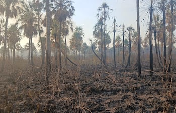 Incendio de gran magnitud afectó la Reserva Aguapey en San Bernardino.