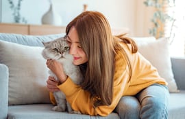 Cómo ganarse la confianza de un gato: qué gestos funcionan según la ciencia.