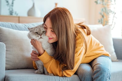 Cómo ganarse la confianza de un gato: qué gestos funcionan según la ciencia.