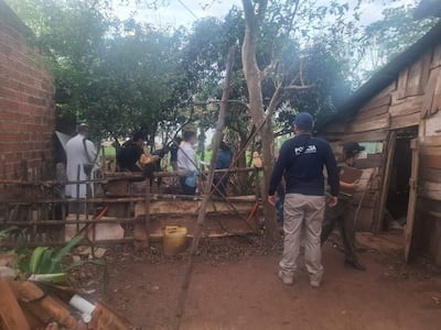 Hombres en uniforme policial y camisa blanca en área rural, investigando en un entorno natural con árboles y vegetación.