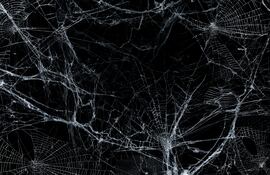 Telaraña (foto ilustrativa)