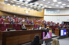 Sesión del Senado (Foto: Gentileza)