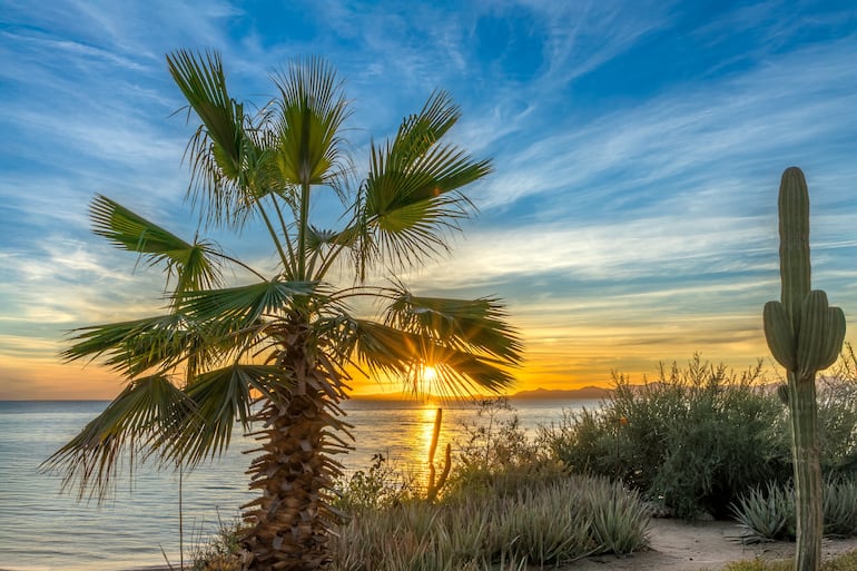 Baja California, México.