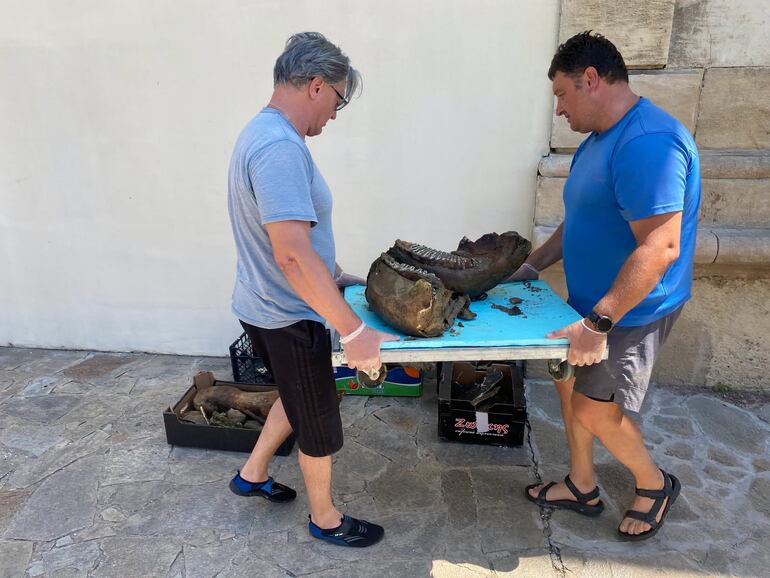 Medios de comunicación regionales y nacionales de Bulgaria y Rumania reciben e informan sobre el hallazgo de una mandíbula de mamut.