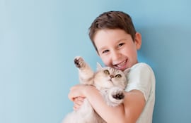 Niño y su gato.