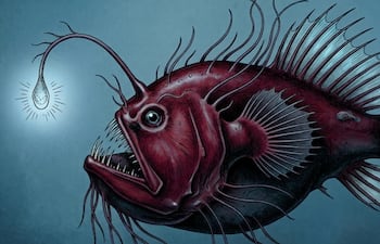 Ilustración de un pez rape abisal del género Caulophryne, imagen ilustrativa.
