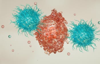 Las células T citotóxicas (azul) atacan a una célula cancerosa (roja).