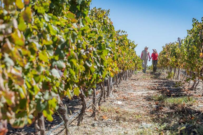 La provincia argentina de Salta presenta una propuesta que combina tradición colonial, naturaleza, gastronomía y experiencias culturales.