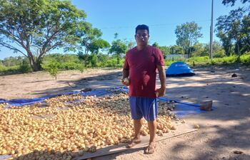 El productor nativo Richard Vargas, con sus cebollas cosechadas de primera calidad listos para ser comercializadas.