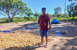 El productor nativo Richard Vargas, con sus cebollas cosechadas de primera calidad listos para ser comercializadas.