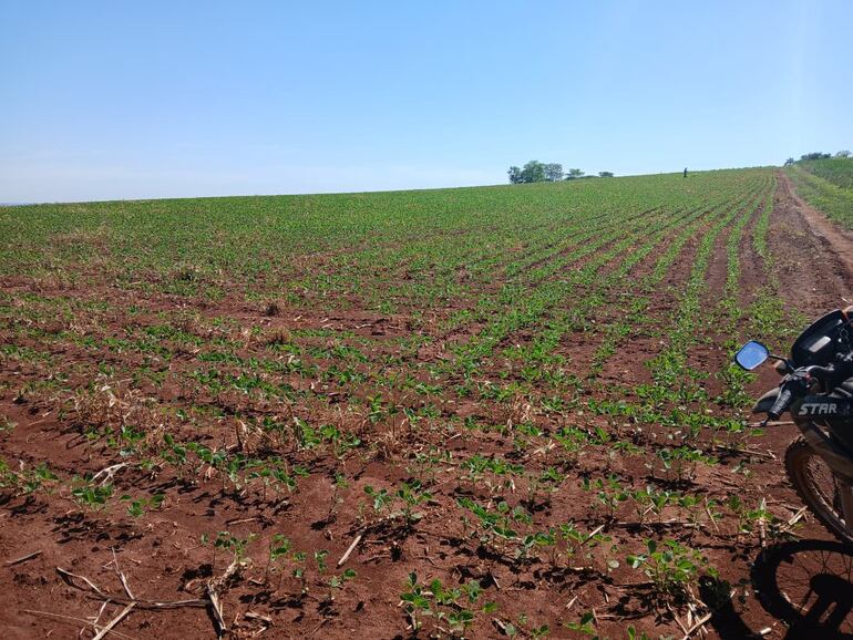 Temen que el uso de plaguicidas afecte a la población y recursos naturales de la zona.