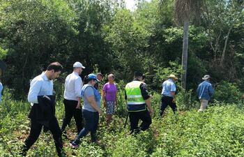 Varios procedimientos fiscales y judiciales constataron la presencia de los cultivos de soja.