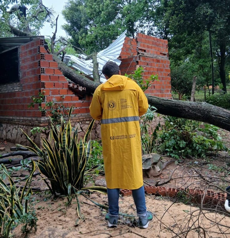 Persona con impermeable amarillo inspecciona daños en estructura colapsada y árbol caído en un entorno vegetal.