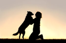 Cuánto tiempo pueden recordar los perros a una persona.