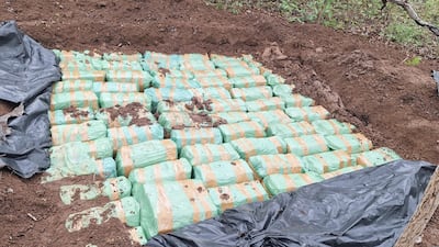 Uno de los cargamentos de marihuana prensada detectados en caletas en el Parque Nacional Paso Bravo.