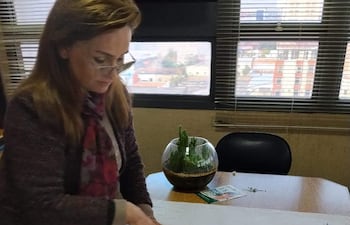 Rosa Vacchetta, mujer con gafas y prenda oscura, sostiene un mapa en la mesa rodeada de documentos y plantas en oficina.