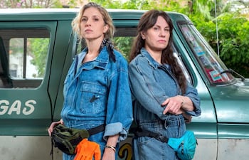 El tiempo de las moscas serie