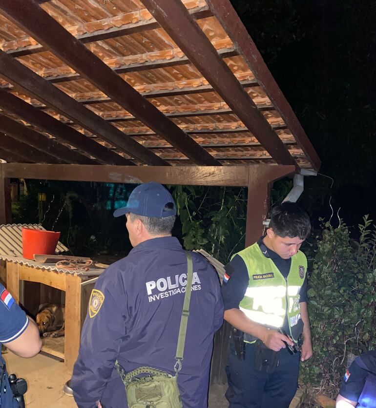 Aparentemente, los maleantes no fueron detectados por los perros de la casa,  o estos por alguna razón no reaccionaron ante la presencia de los intrusos.