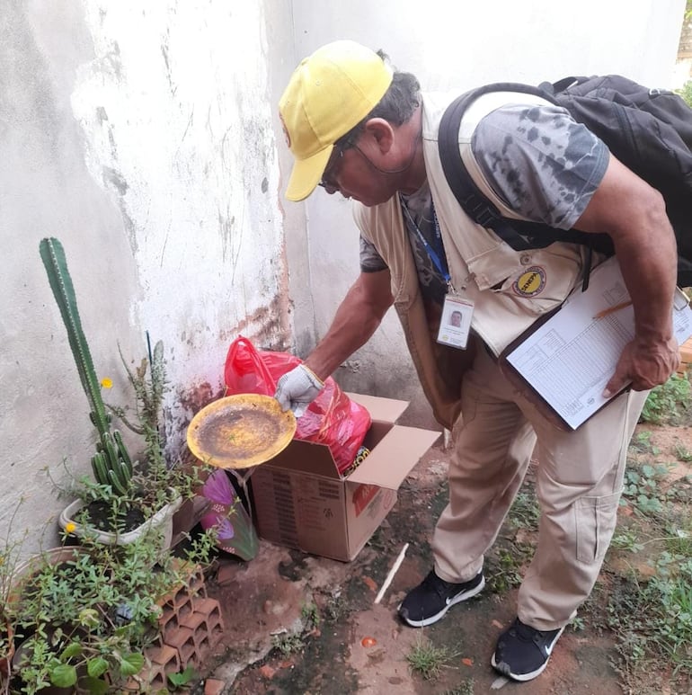 Funcionarios del Senepa recomiendan no acumular agua y limpiar los patios para prevenir la proliferación de mosquitos transmisores de enfermedades como el dengue.