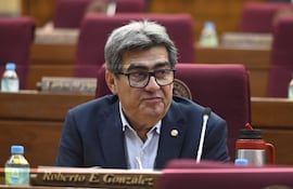 Diputado Roberto González.