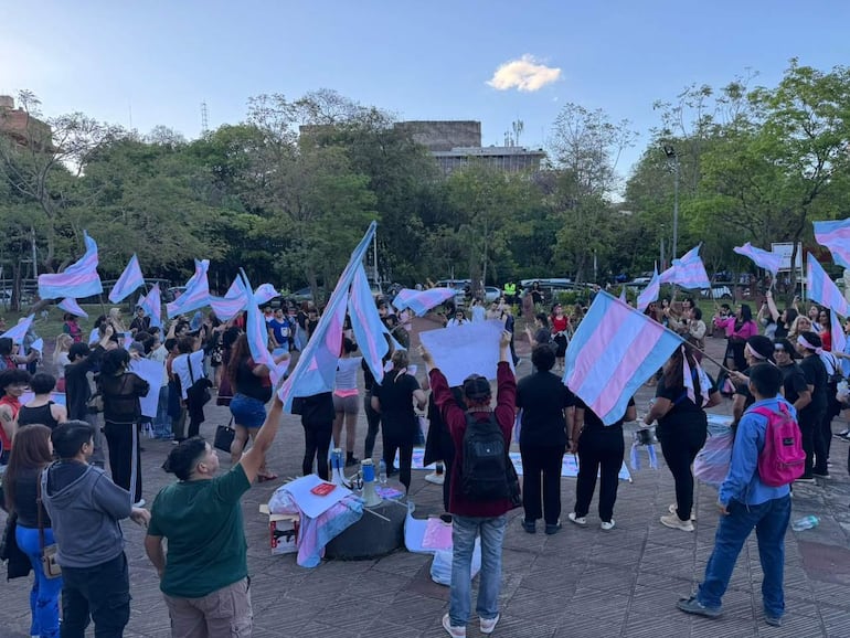Grupo diverso de manifestantes sosteniendo banderas trans en Plaza de la Democracia, vestidos con camisetas negras y expresiones de celebración.