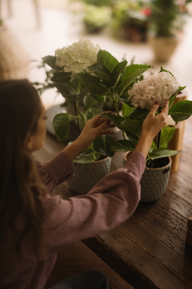 Valentina De Filippis con plantas de Bloomiér.