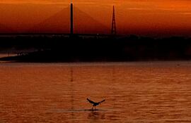 Amanacer frío y con neblina en la bahía de Asunción este domingo 11 de agosto.