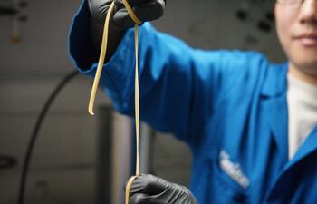 Un equipo internacional de investigadores ha abierto un halo de esperanza frente a uno de los problemas ambientales más graves, la contaminación por plástico, al diseñar un material biodegradable compuesto de unas bacterias con la capacidad de descomponerse al final de su vida útil. En la imagen, el investigador de la Universidad de California San Diego, Han Sol Kim, muestra una tira del nuevo material de plástico capaz de autodestruirse al final de su vida útil que ha inventado.