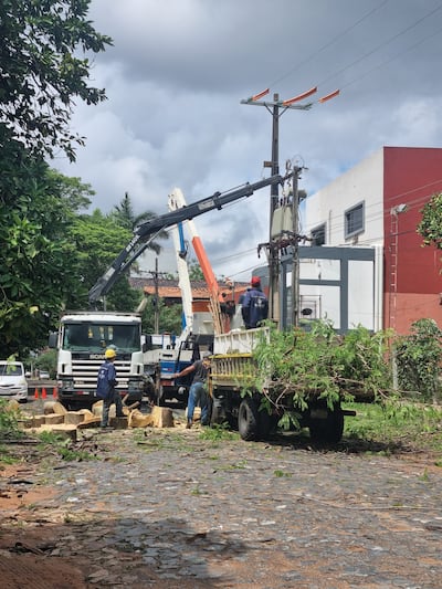 Trabajos de ANDE en retiro de árboles caídos sobre sus líneas.