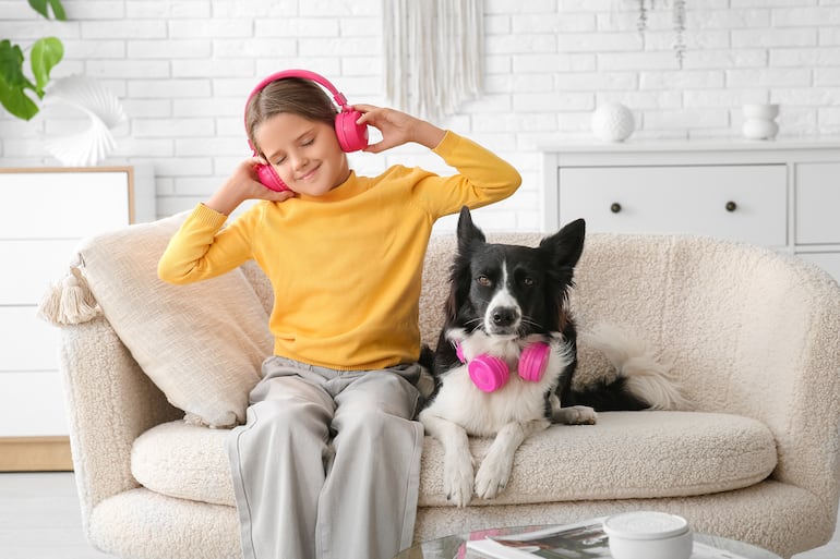 Perro border collie con una niña.