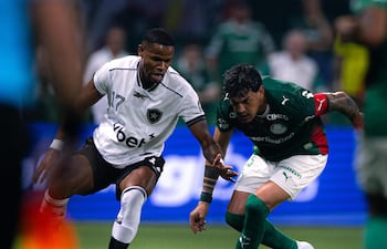 El capitán paraguayo del Palmeiras, Gustavo Gómez Portillo va a la marca del atacante de Botafogo Júnior Santos, en el encuentro por la séptima fecha del Brasileirão.