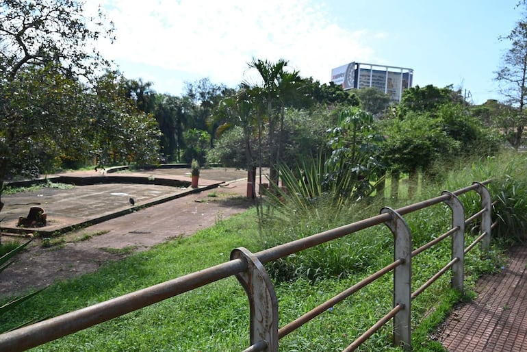 Espacio verde descuidado en Ciudad del Este, con césped y plantas diseminadas, sin personas visibles en la escena.