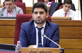 Diputado Raúl Benítez (Independiente).