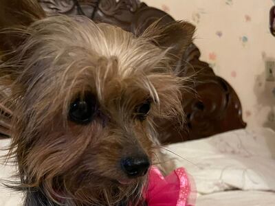 Tiene 4 años y está enferma.