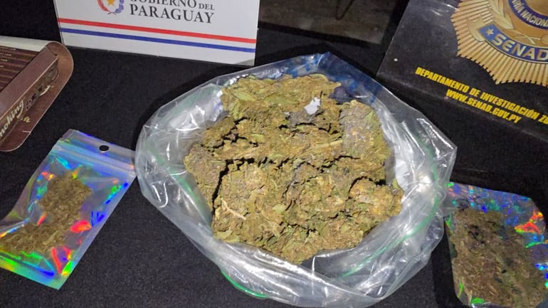 Joven cultivaba marihuana “VIP” en su habitación y la vendía por redes sociales